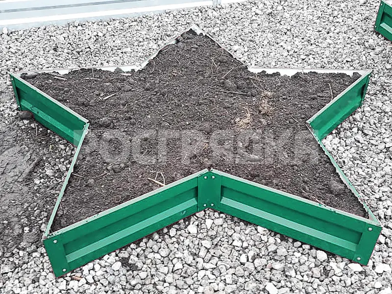 Клумба звезда зеленая